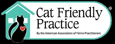 Cat Friendly Practice