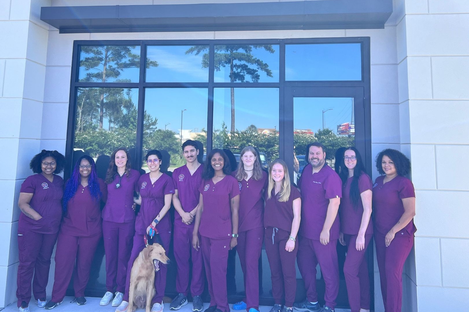 Port City Animal Hospital - Top Savannah Veterinarian