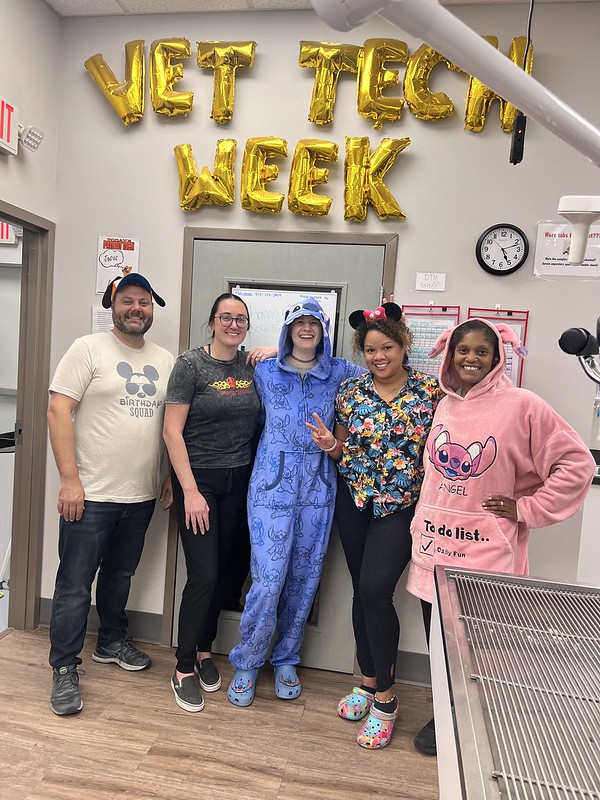 Welcome to Vet Tech Week 2024! 🐾🩺