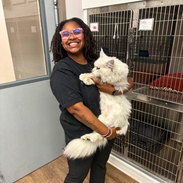 Alesha at Port City Animal Hospital