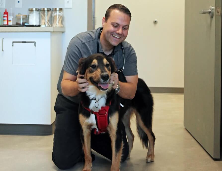 Vet with patient in their front office