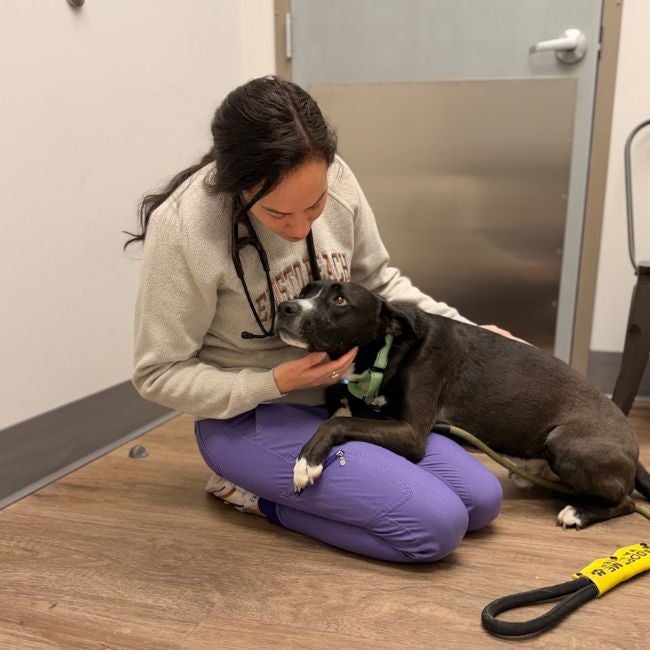 Dr. Claytor with a Patient