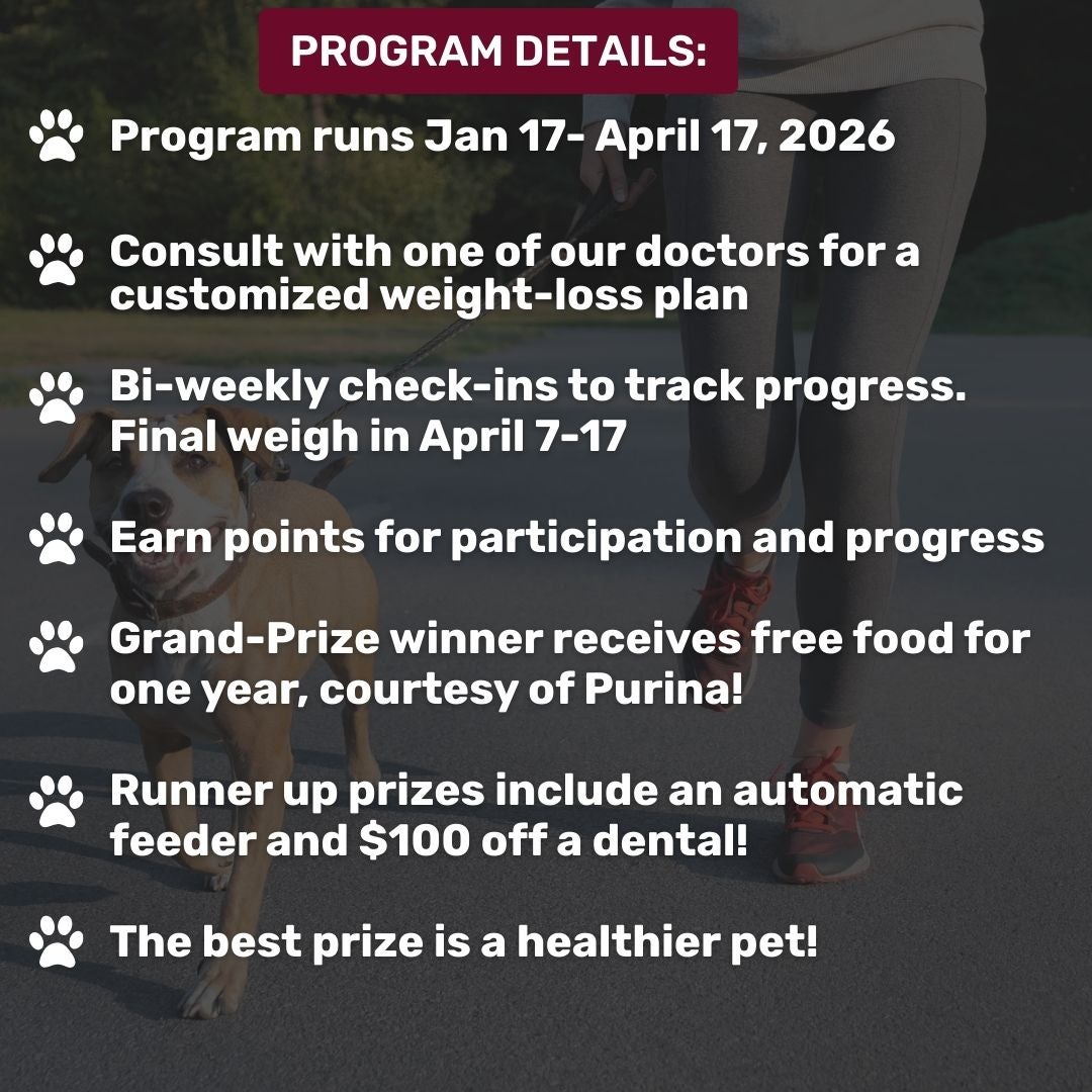 Details SlimDownChallenge